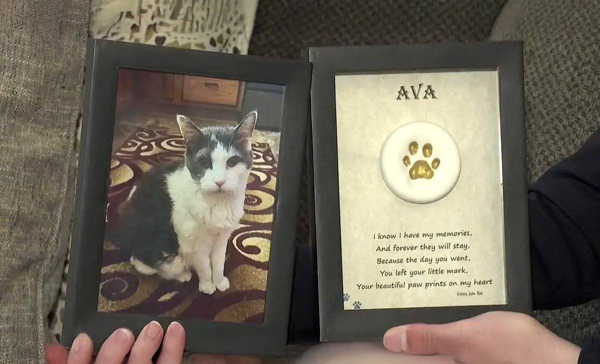The Shocking Scam That Fooled Thousands of Pet Owners