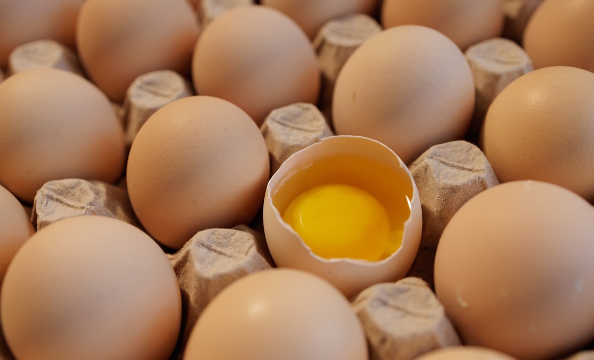 Inside America's Biggest Egg Heist