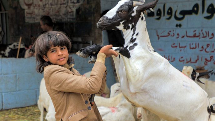 How Economics Changed Eid Al-Adha
